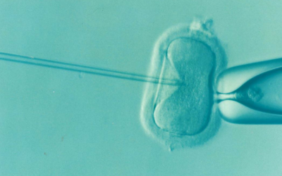 Our Current Infertility Journey