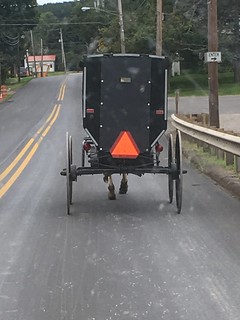 Amish buggy on the road in Potter County